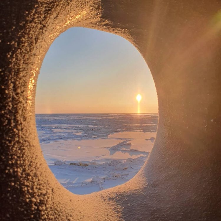Window2