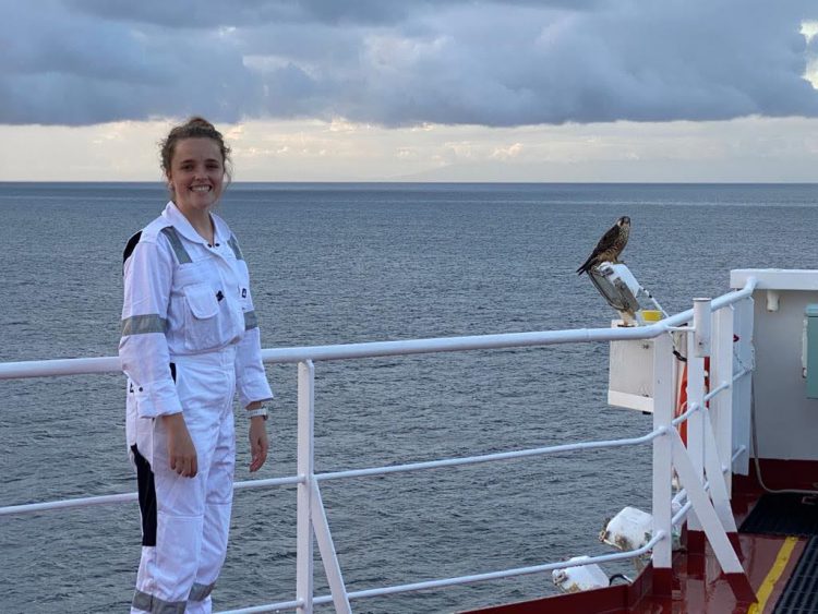 Deck Cadet Deva with Palomino