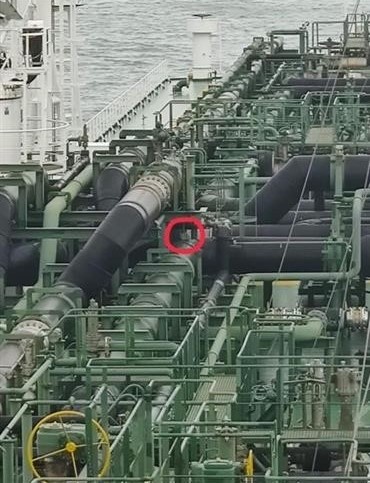 Merlion Spotted Onboard