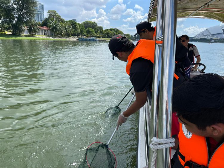 Powerboat Clean Up 4