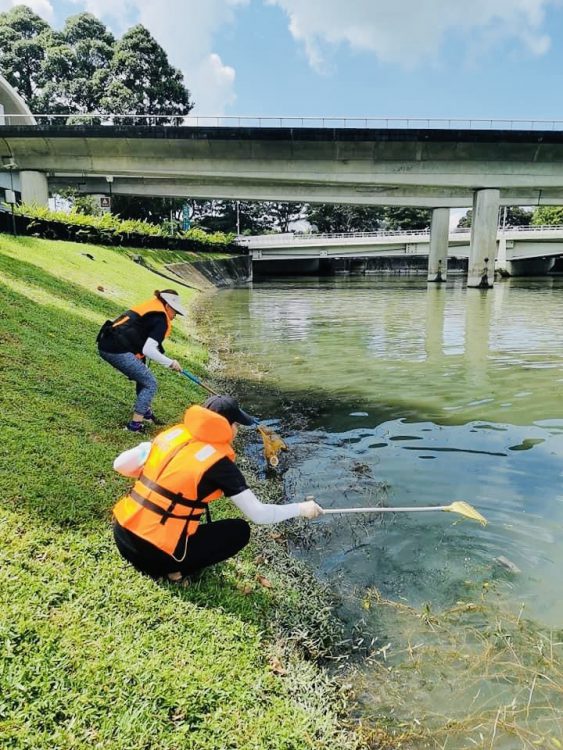 Shore Clean Up 1