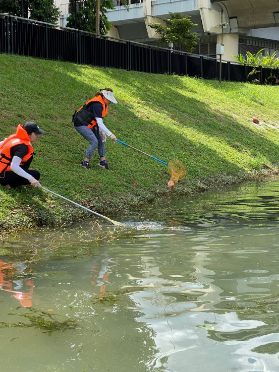 Shore Clean Up 2