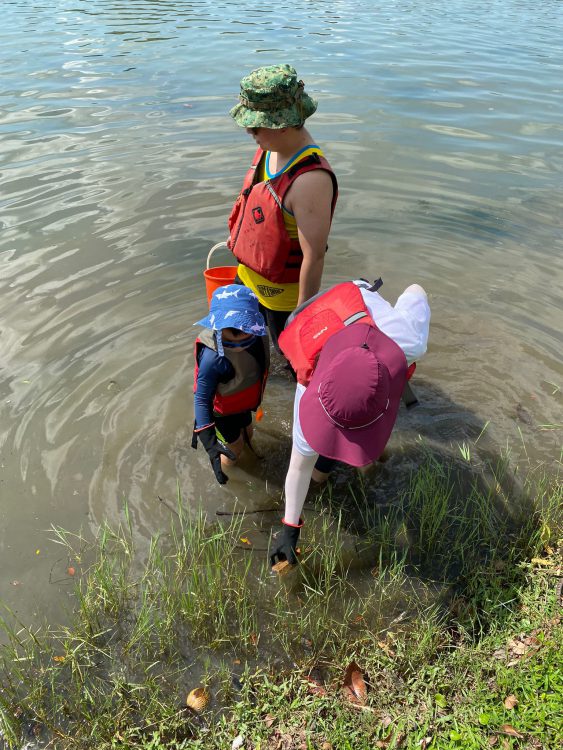 Shore Clean Up 3