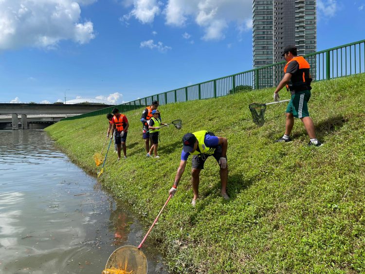 Shore Clean Up 4