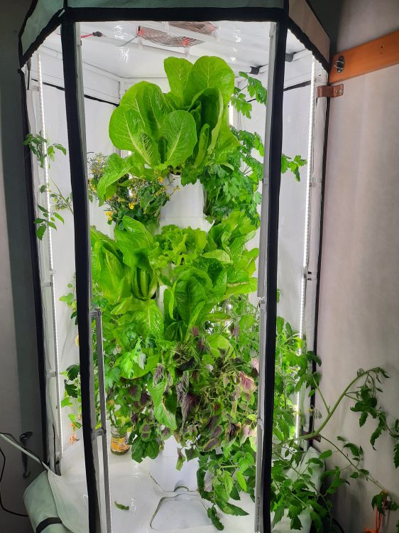 Vertical Garden - Rio Spirit (2)