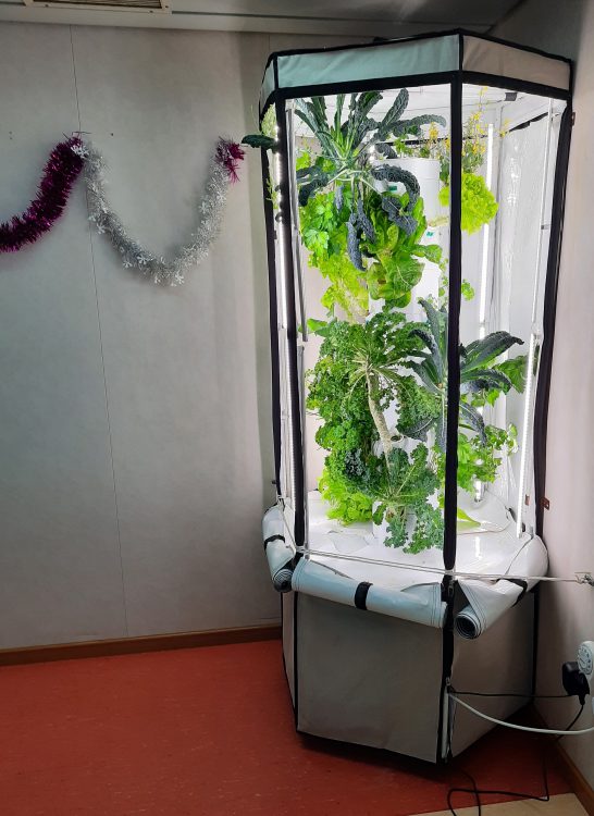 Vertical Garden - Rio Spirit (3)