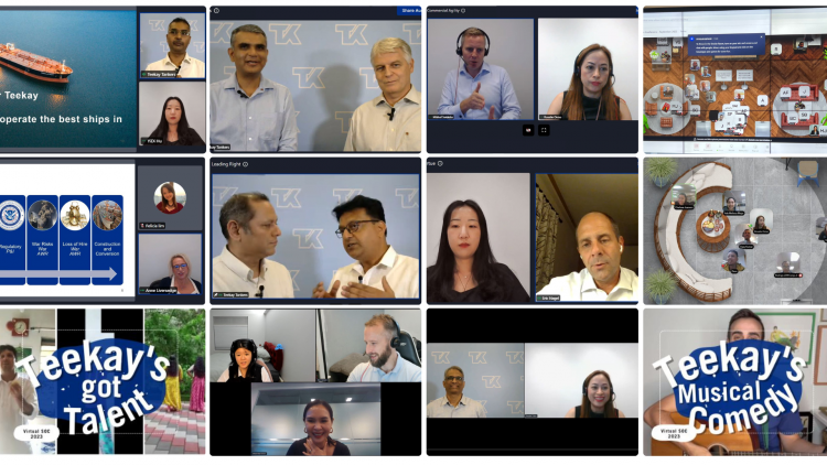 Compilation of screenshots during the virtual conference
